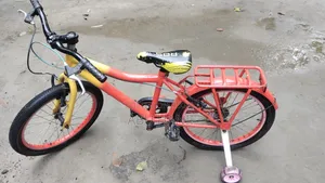 Baby Cycle