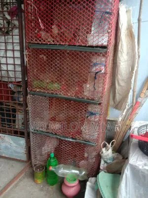 ২৩টি কোয়েল পাখি বিক্রি হবে খাঁচা সহ