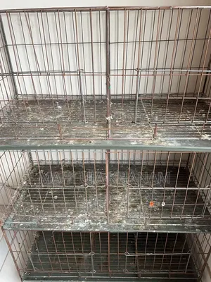 Large Cage Made to Order. Sturdy Cage