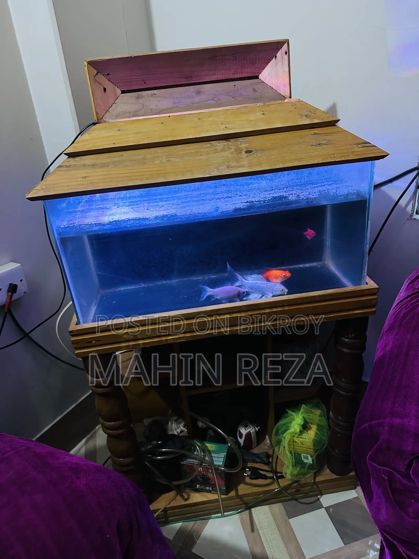 Fish Aquarium