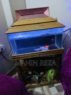 Fish Aquarium