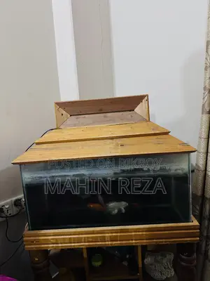 Fish Aquarium