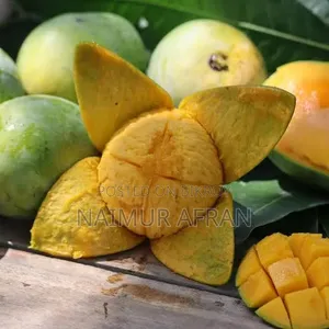 রাজশাহীর অরজিনাল গোপাল ভোগ আম
