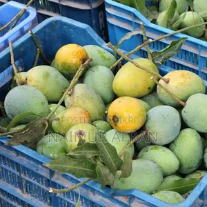 Original Gopal Bhog Mango from Rajshahi
