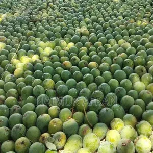 Original Gopal Bhog Mango from Rajshahi