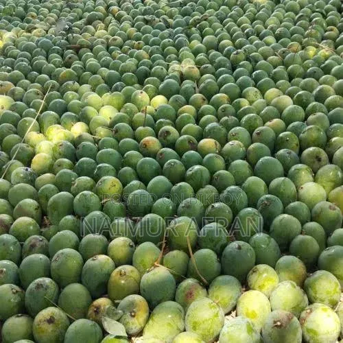 Original Gopal Bhog Mango from Rajshahi