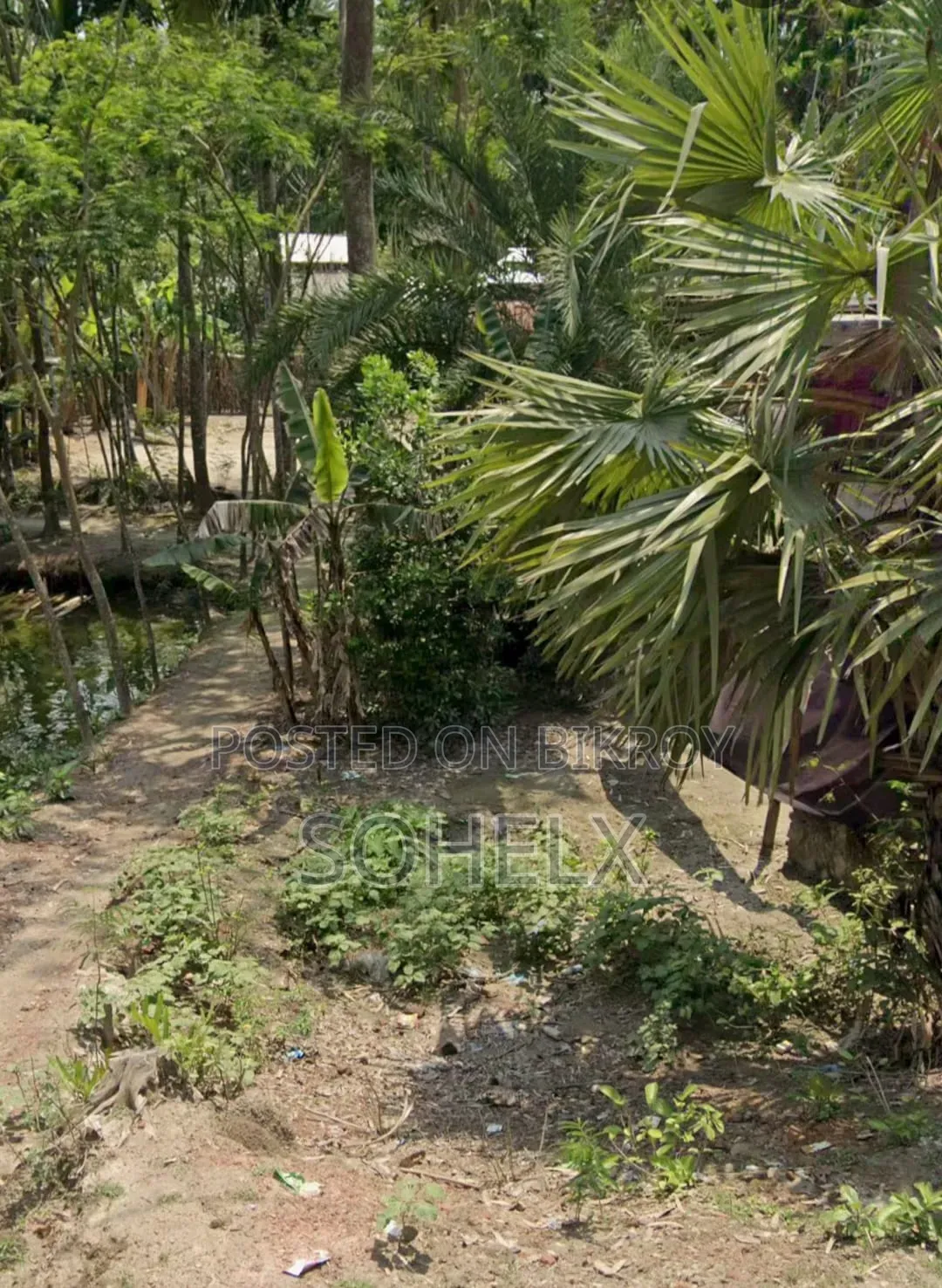 সম্পত্তি / জমি / প্লট