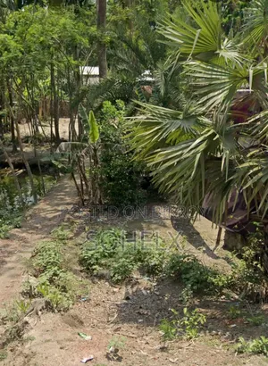 সম্পত্তি / জমি / প্লট