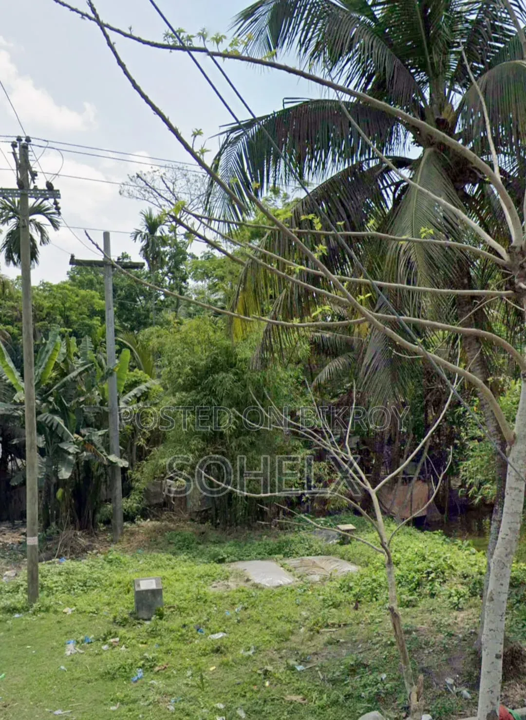 সম্পত্তি / জমি / প্লট
