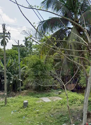 সম্পত্তি / জমি / প্লট