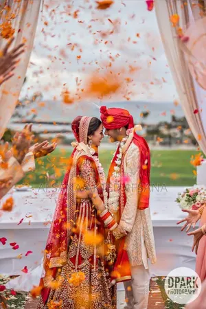 Groom Wanted