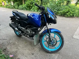 Bajaj Pulsar 150 2013 Blue