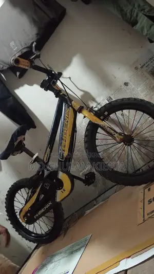 বাচ্চাদের সাইকেল