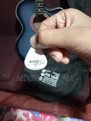 Guitar