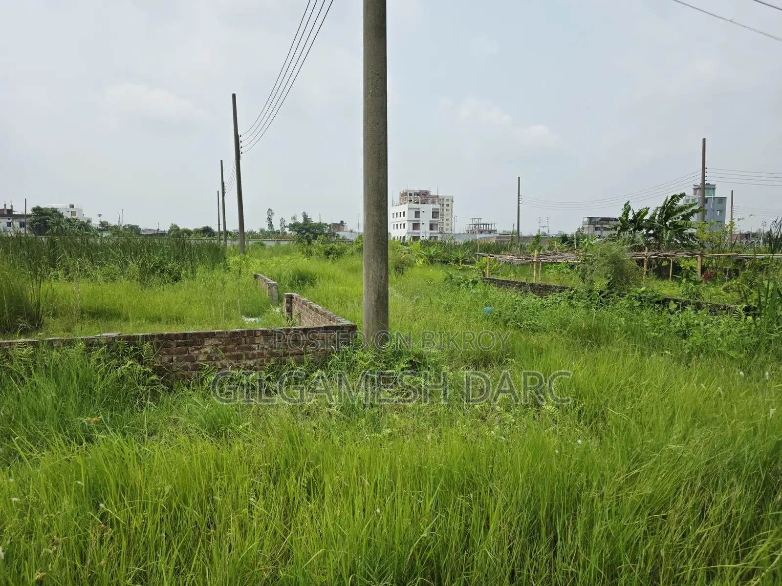 Ready Plot For Sale In Tanin Kunjo Housing Prokolpo Ltd.