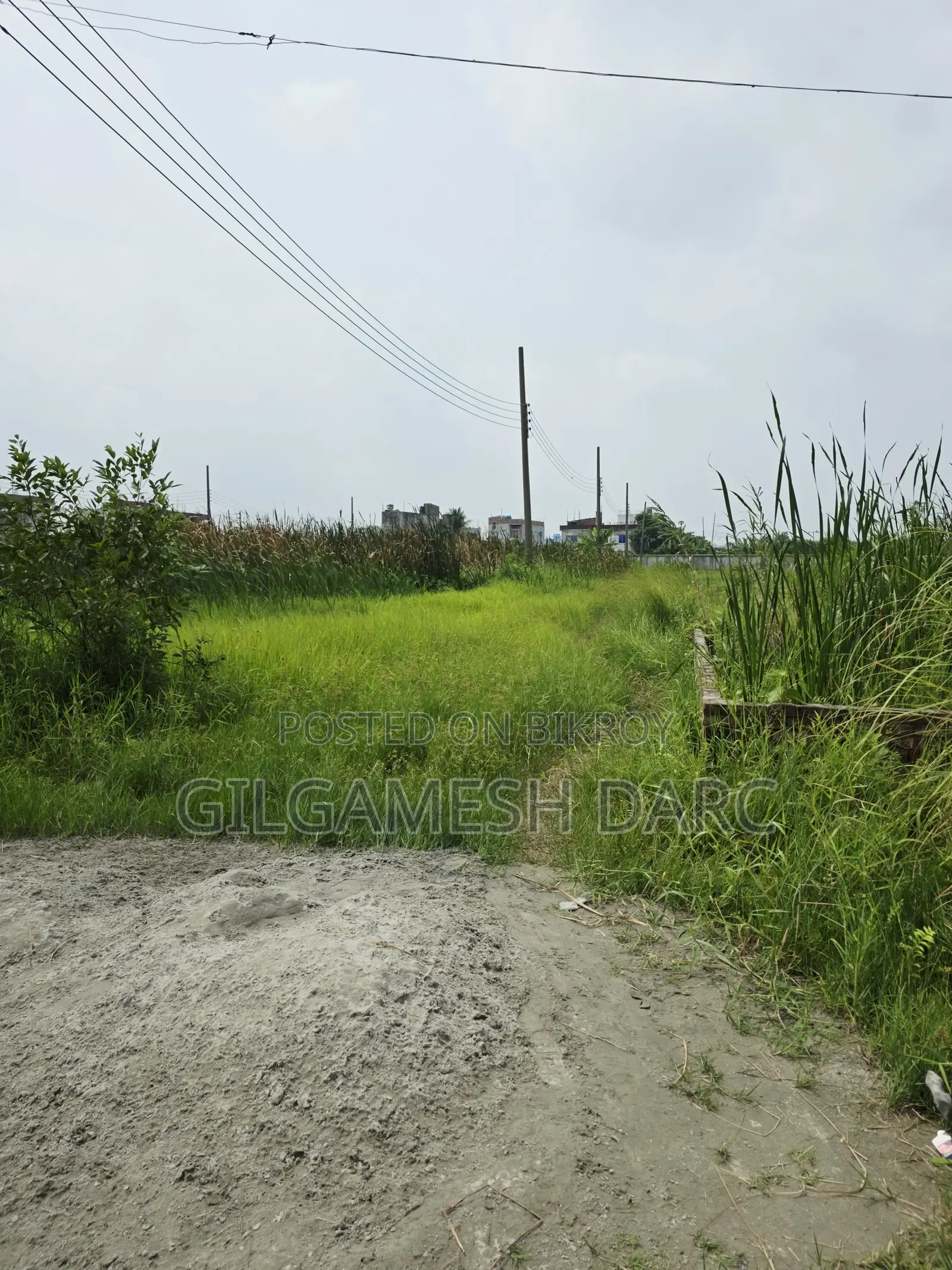 Ready Plot For Sale In Tanin Kunjo Housing Prokolpo Ltd.
