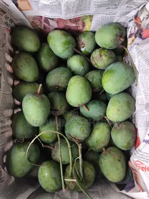 Famous Himsagar Mangoes of Satkhira
