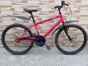 24-inch Bicycle