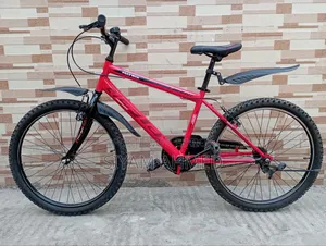 24-inch Bicycle
