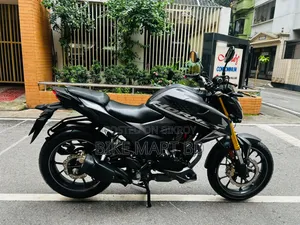 হোন্ডা হর্নেট ২০২৫ ধূসর