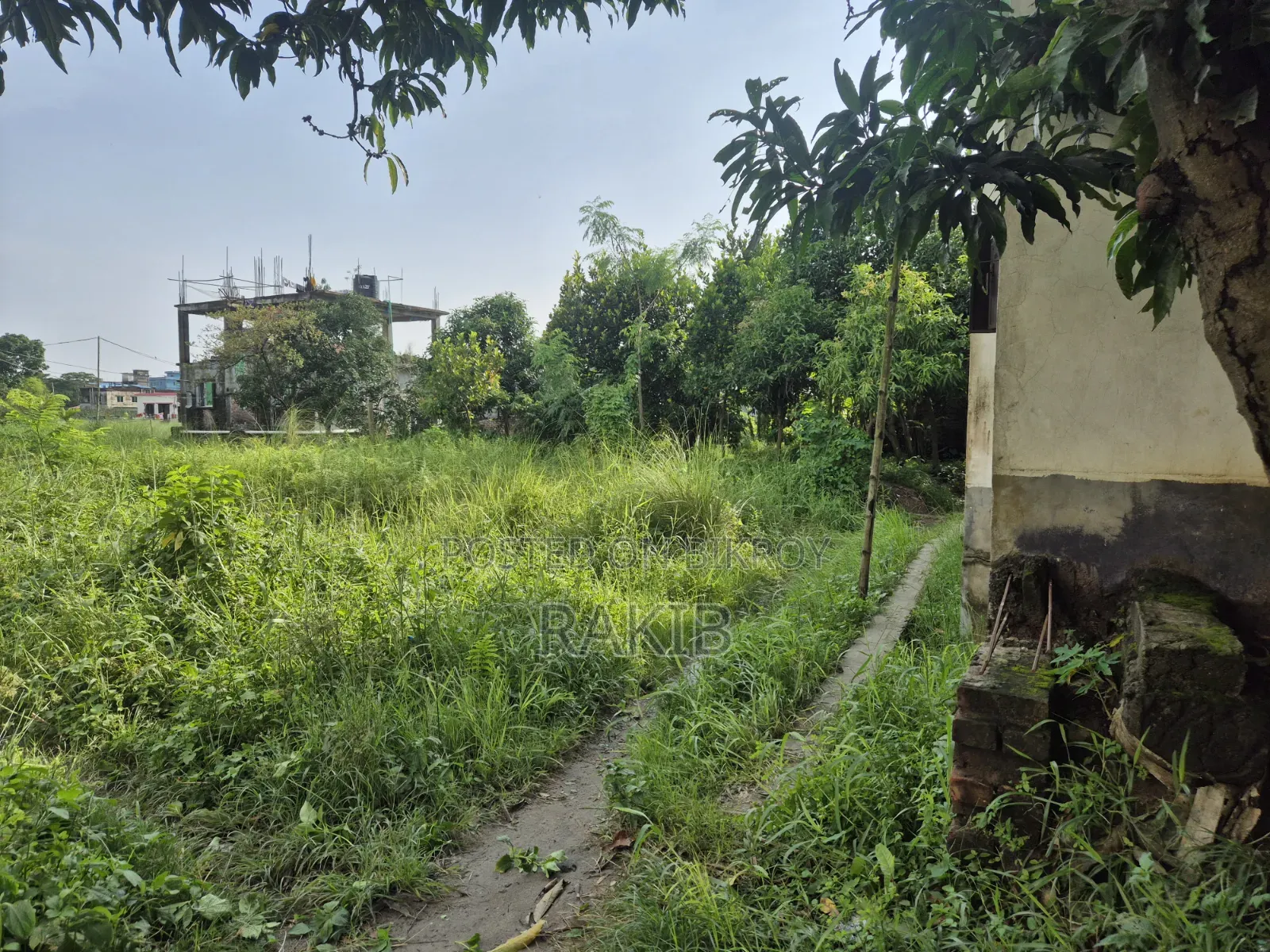 Land for sale 4 decimals near Paity Government School