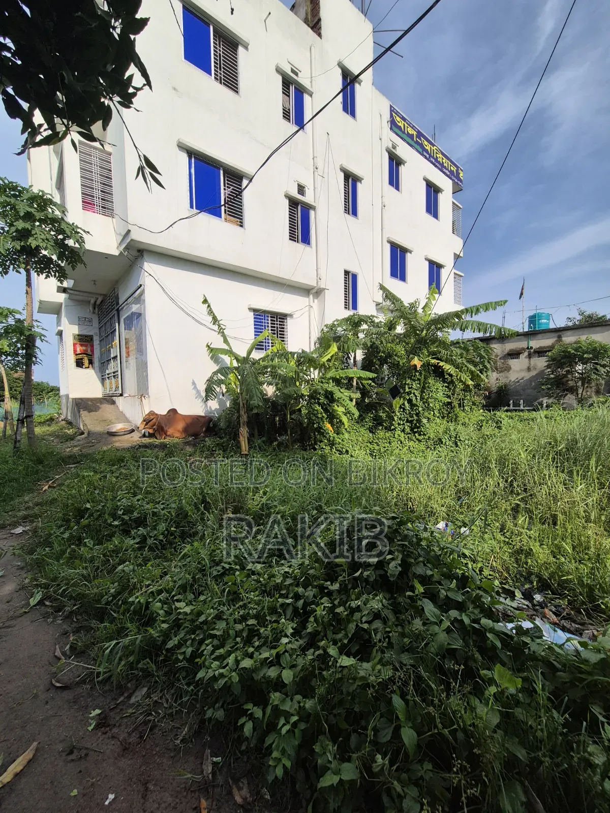 Land for sale 4 decimals near Paity Government School
