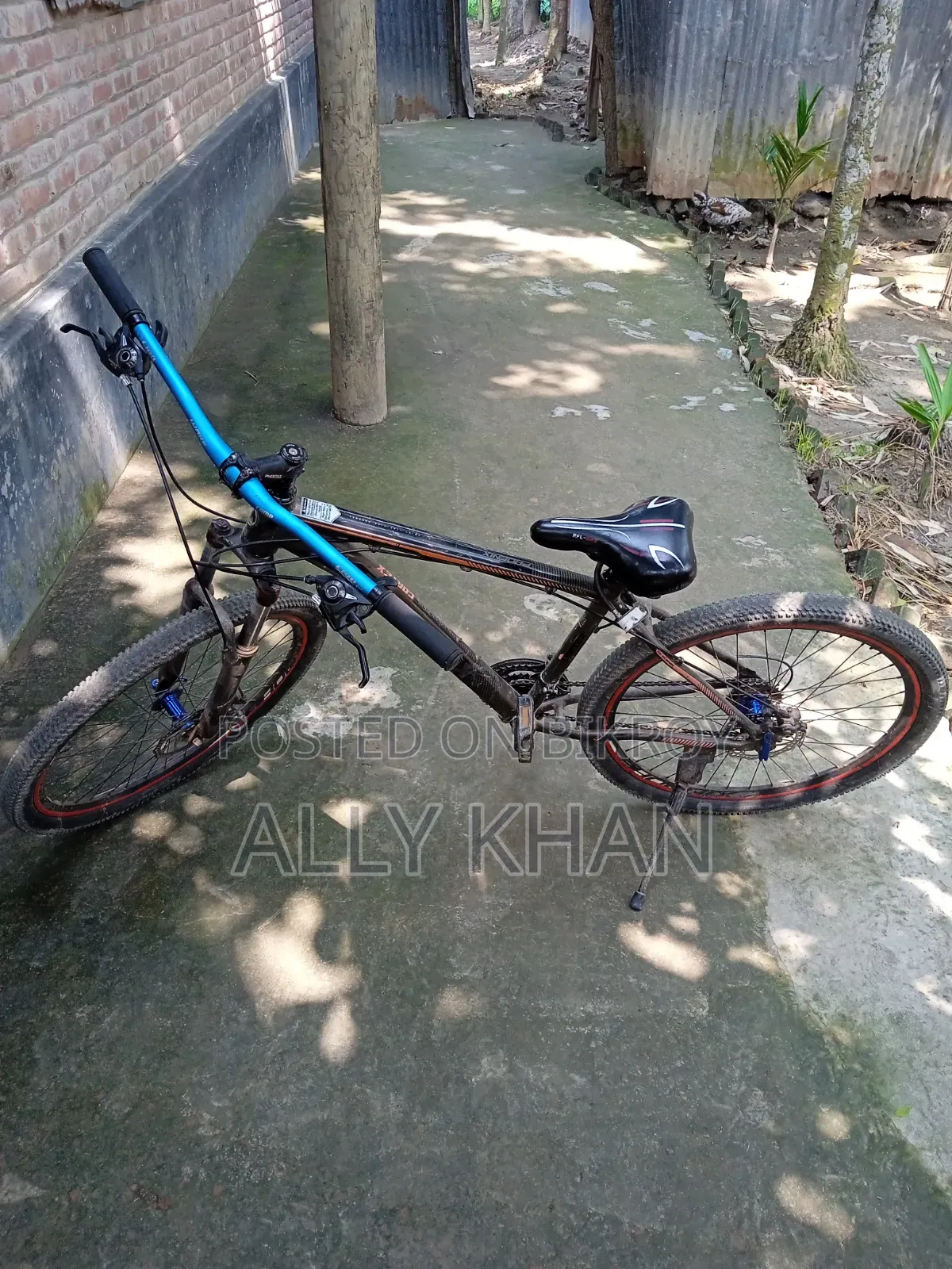 Phonix Cycle