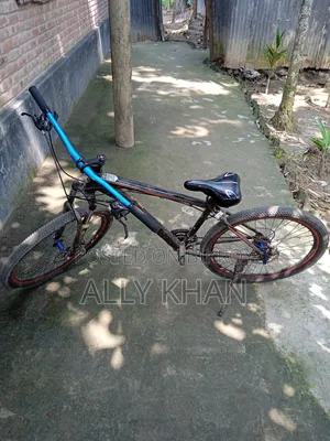 Phonix Cycle