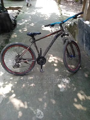 Phonix Cycle