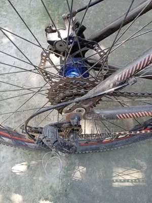 Phonix Cycle