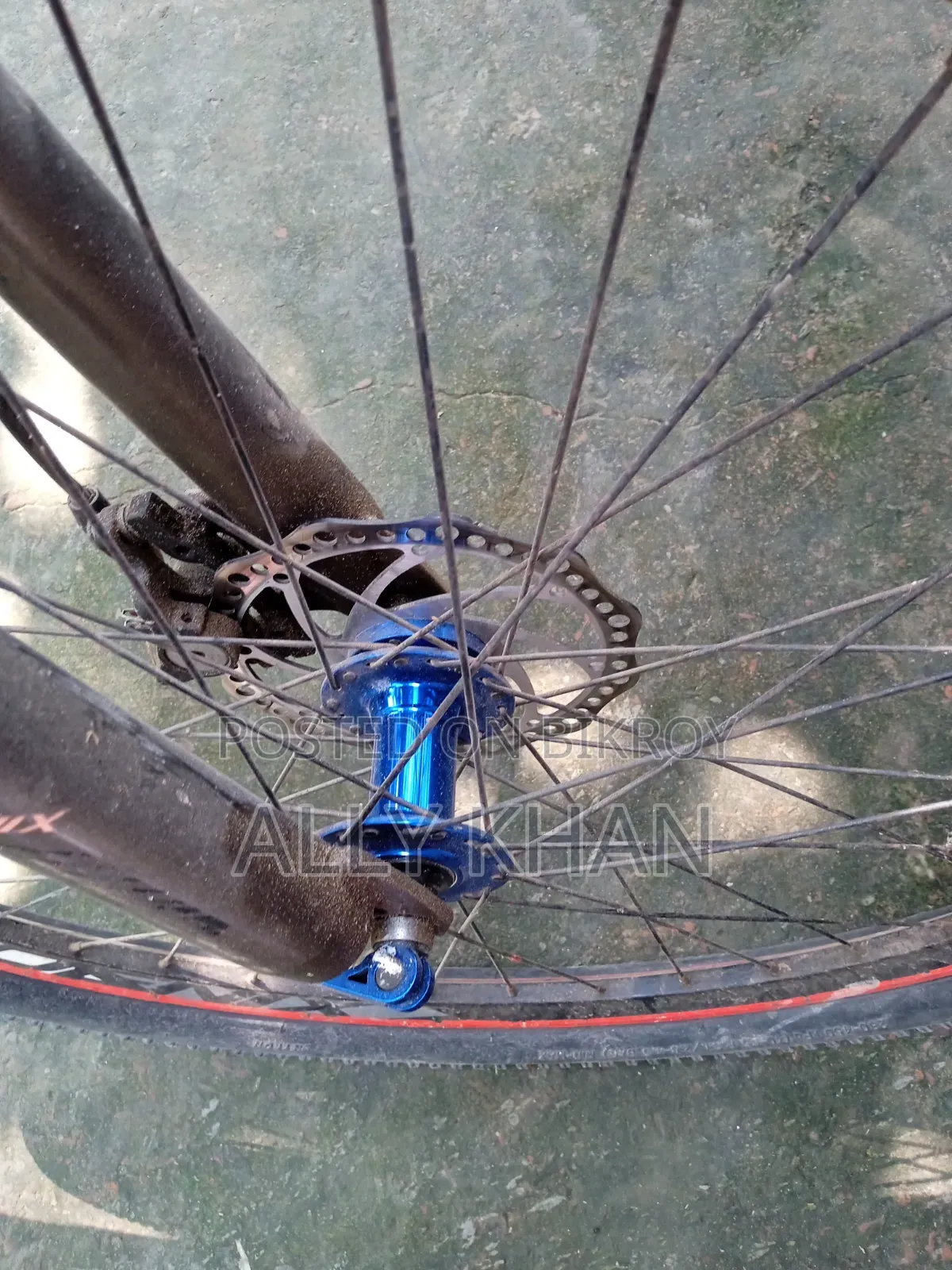 Phonix Cycle