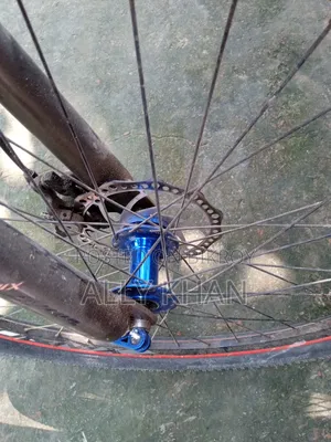 Phonix Cycle