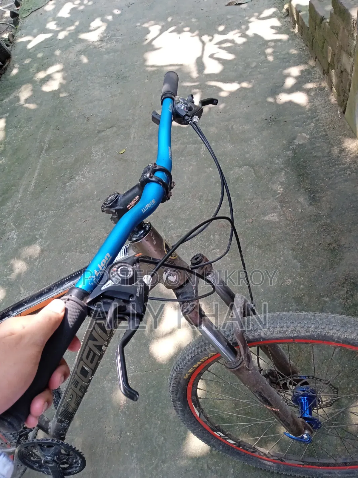 Phonix Cycle