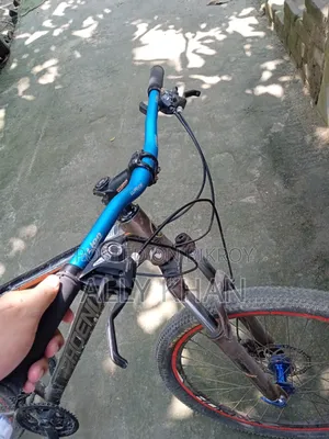 Phonix Cycle