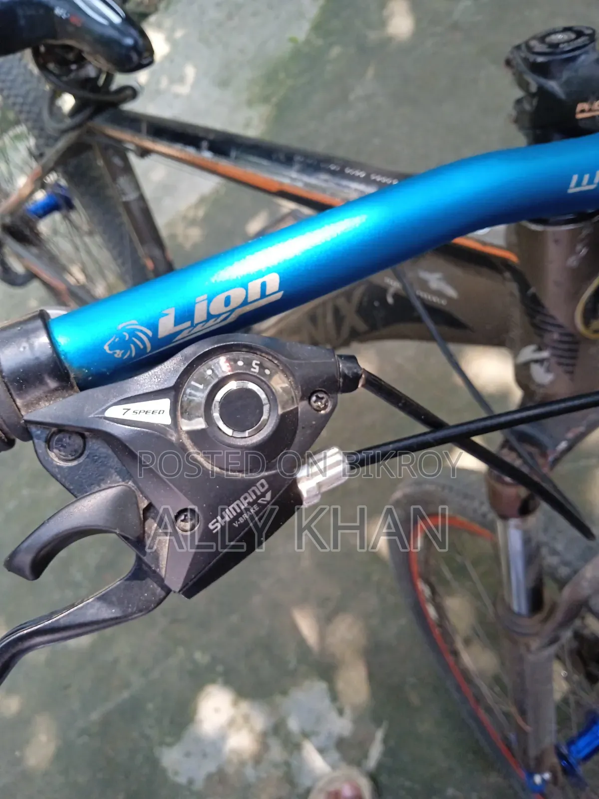 Phonix Cycle