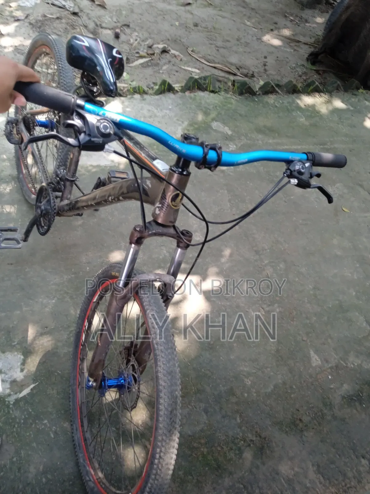 Phonix Cycle