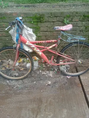 Cycle Bagla