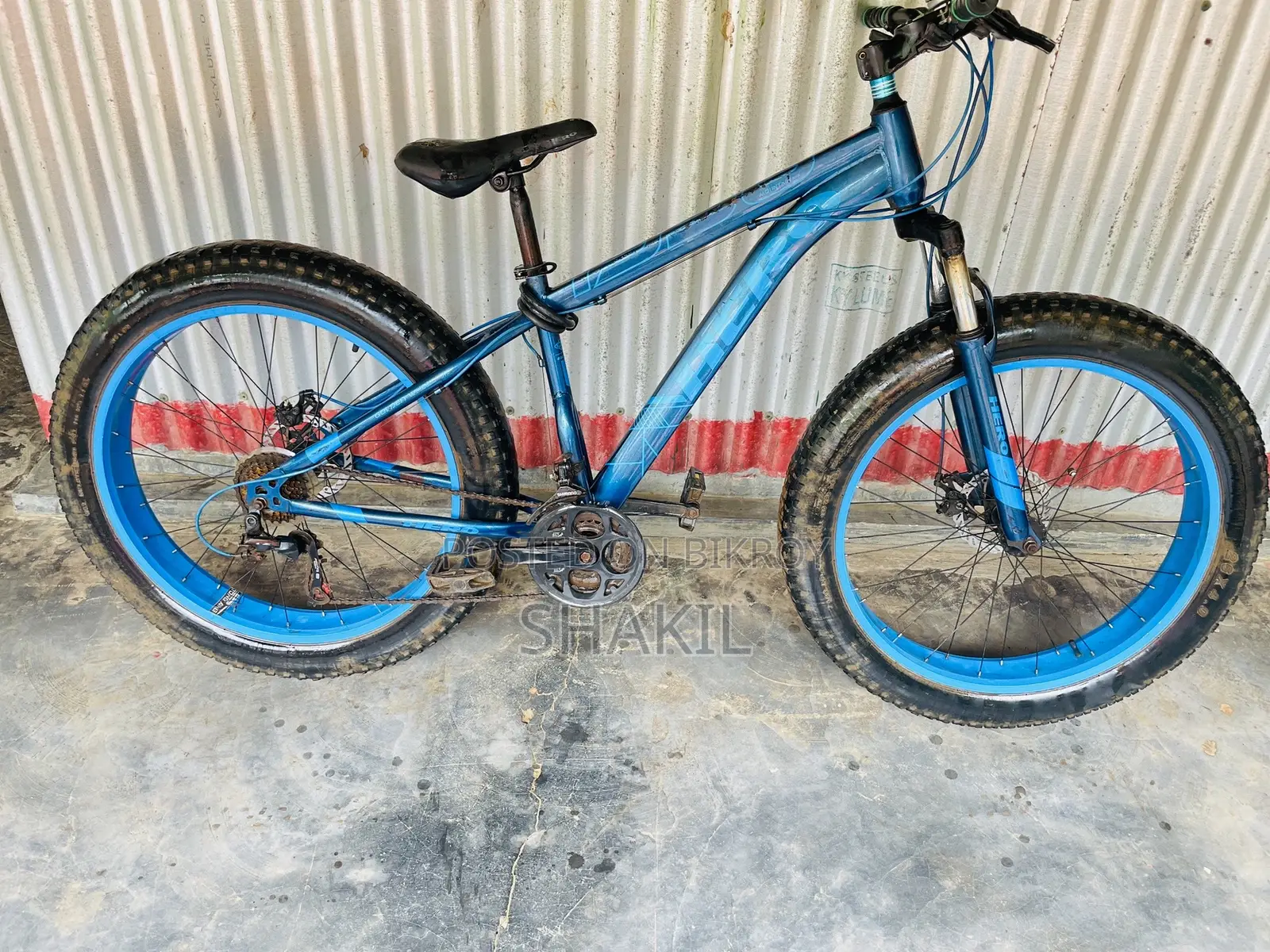 Fat Bike