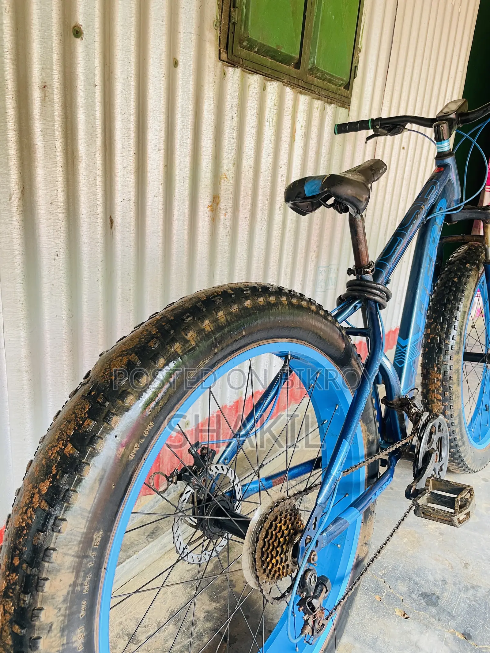 Fat Bike