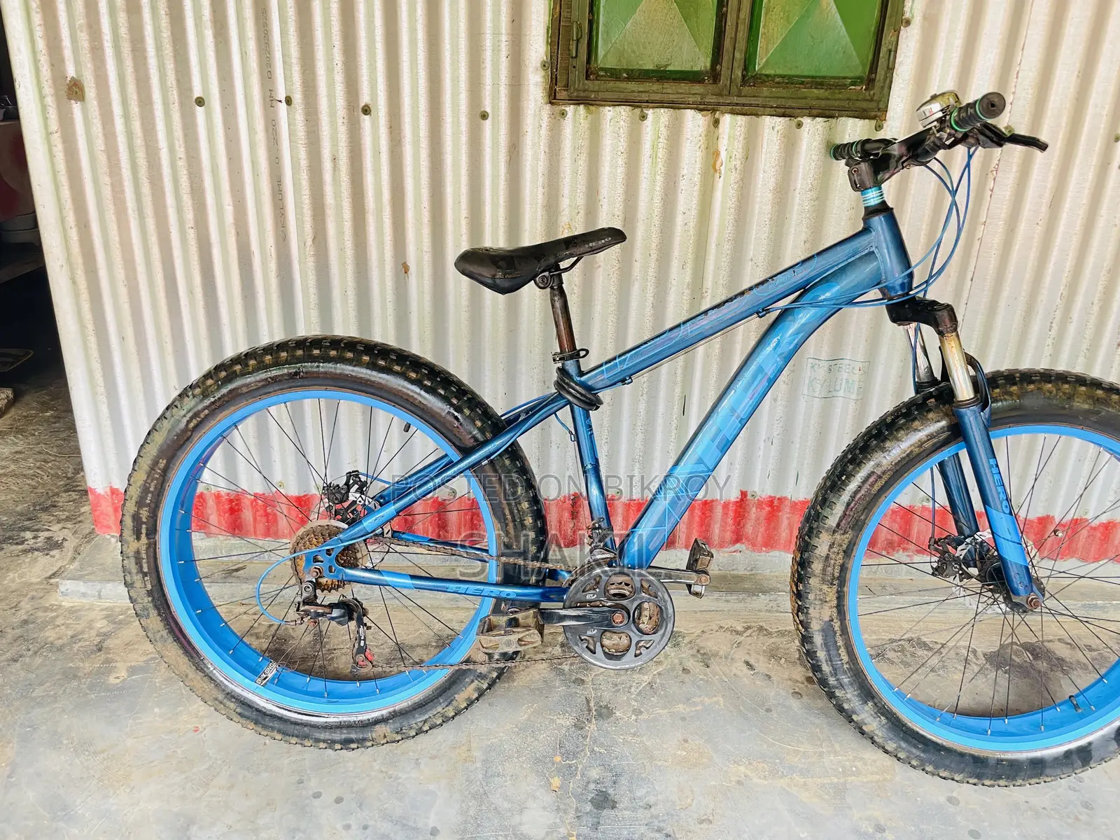 Fat Bike