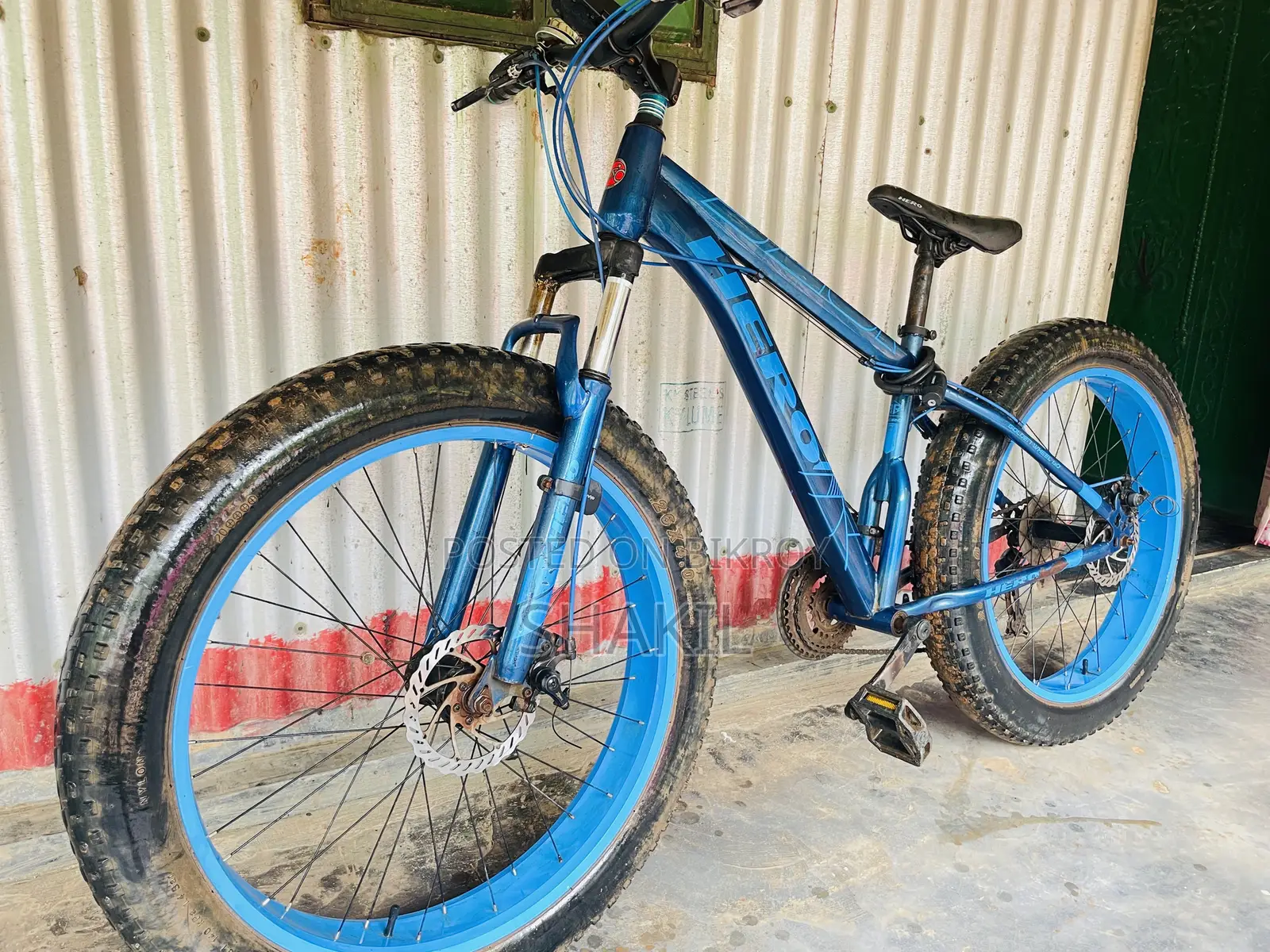 Fat Bike