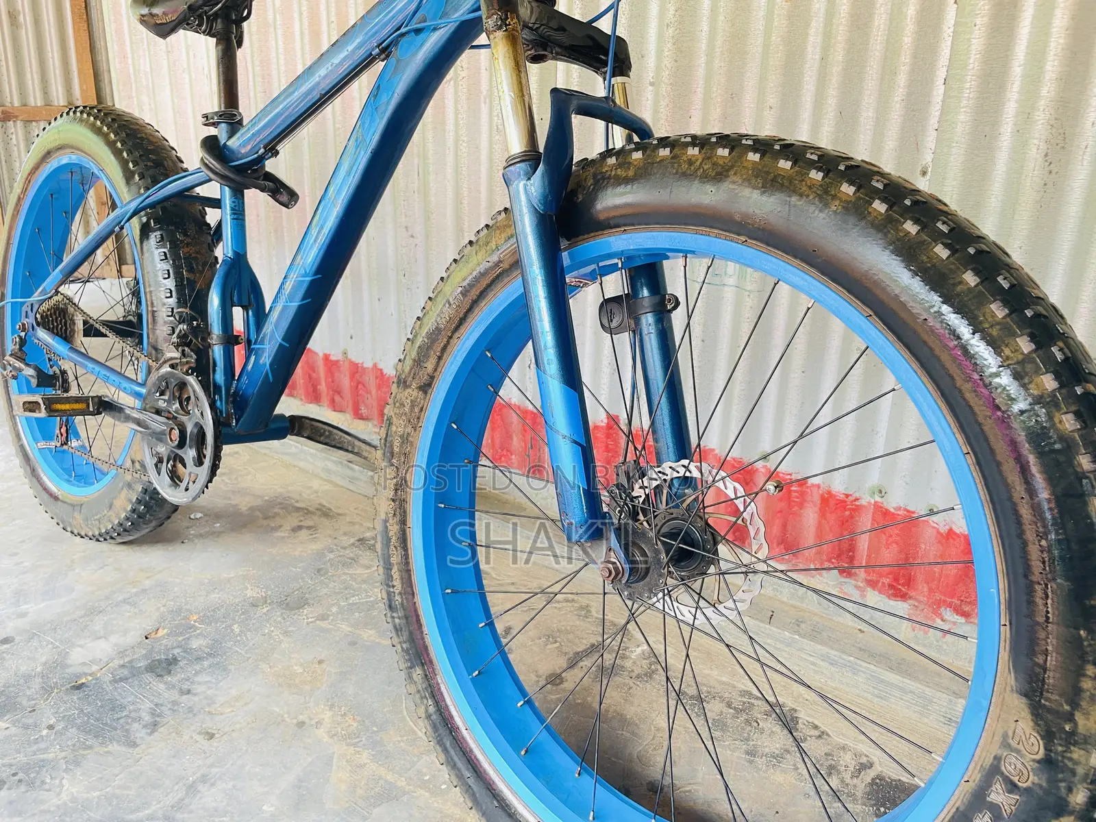 Fat Bike