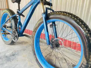 Fat Bike