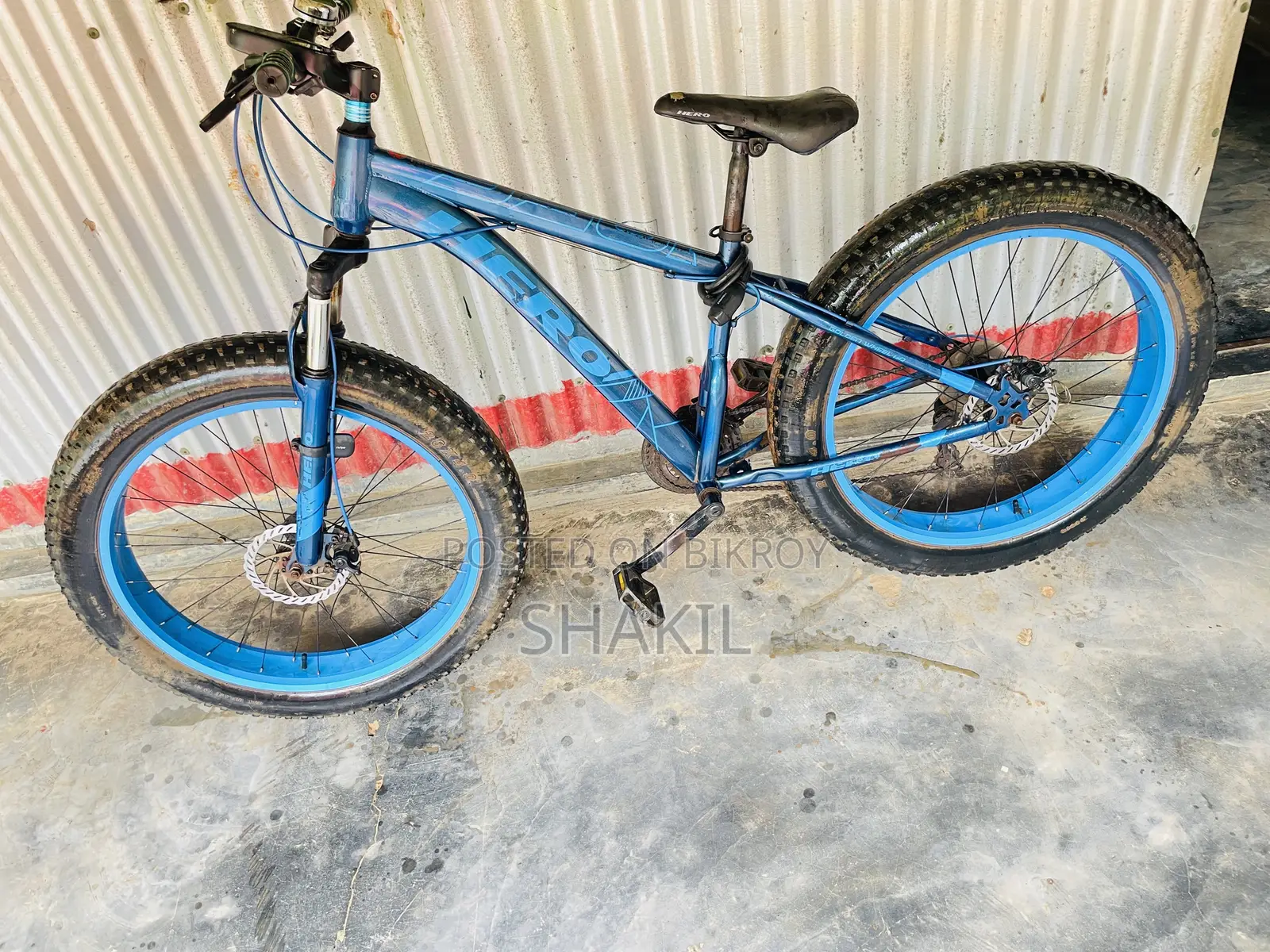 Fat Bike