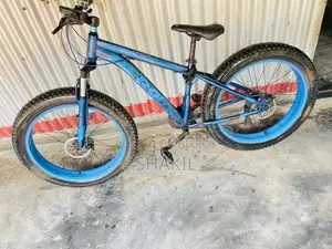 Fat Bike