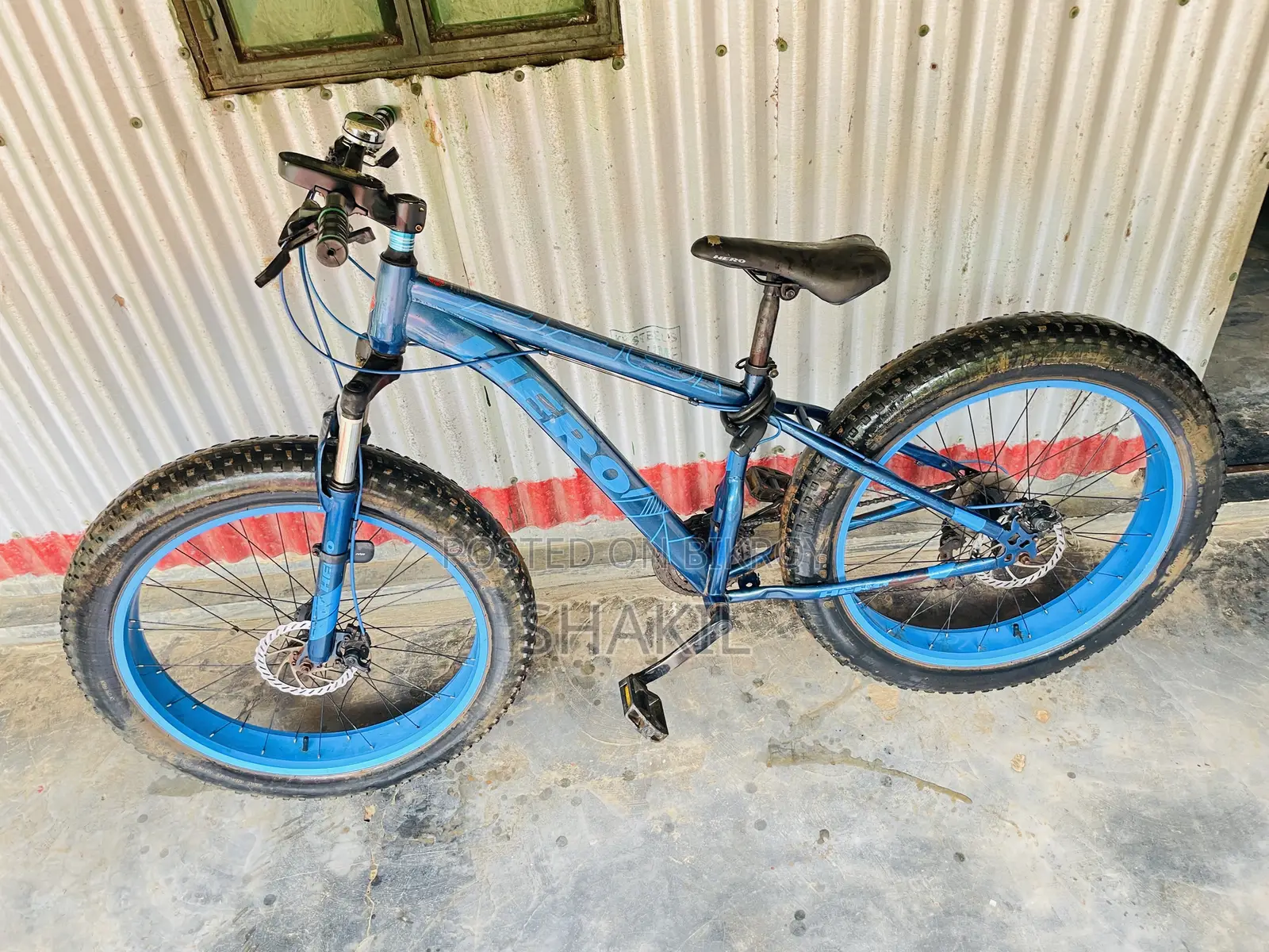 Fat Bike