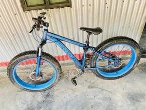 Fat Bike