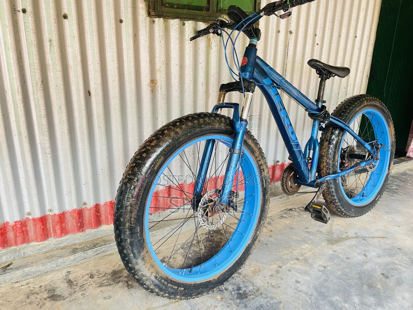 Fat Bike