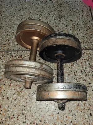 ২০ কেজি ডাম্বেল সেট