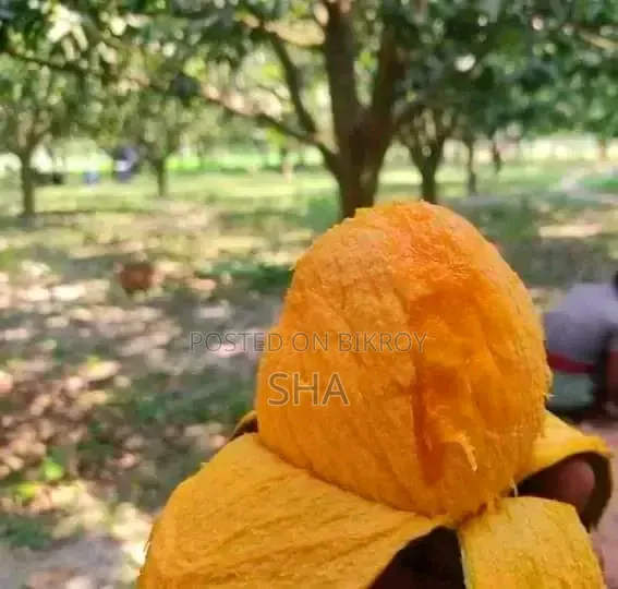 Formalin-free Mangoes